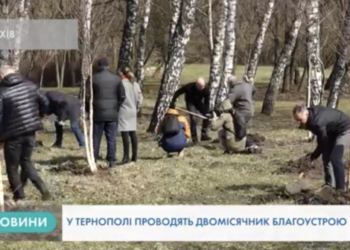 У Тернополі проводять двомісячник благоустрою