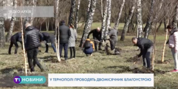 У Тернополі проводять двомісячник благоустрою