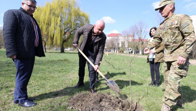 Варвари, які позрізали старі тополі по вул. Білецькій в межах парку Шевченка будуть покарані
