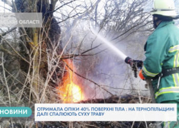 За добу на Тернопільщині – 43 пожежі (Відео)