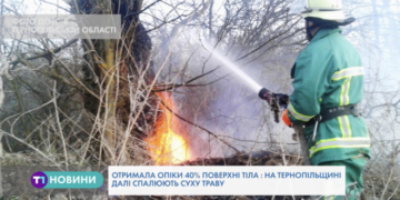 За добу на Тернопільщині – 43 пожежі (Відео)