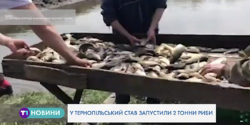 Близько двох тонн риби випустили у Тернопільський став (Відео)
