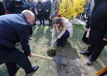 У Тернополі висадили Біблійний сад