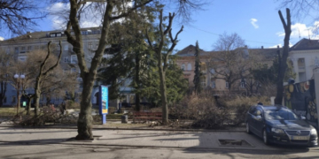 У центрі Тернополя проводять омолоджувальну підрізку дерев