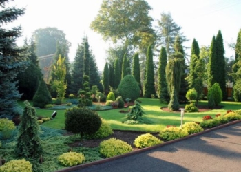 Приєднуйся: Мерія продовжує масову акцію «Тернопіль – найзеленіше місто»