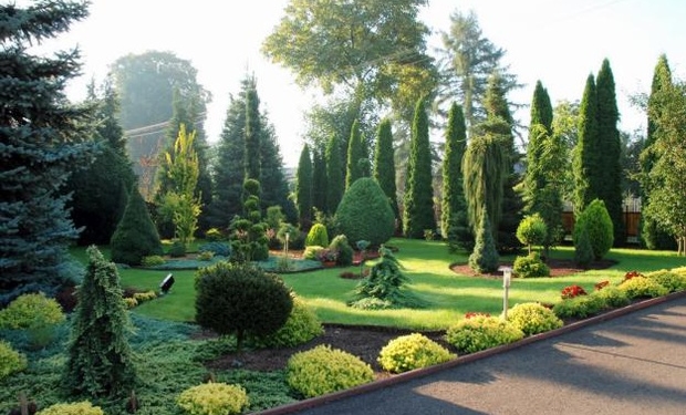 Приєднуйся: Мерія продовжує масову акцію «Тернопіль – найзеленіше місто»