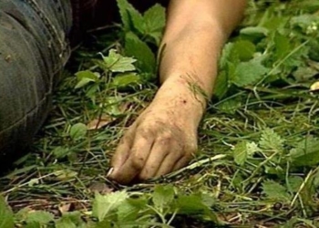 На Тернопільщині у своєму городі чоловік знайшов рештки безвісти зниклої жінки