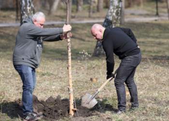 Тернопіль висадив тисячі нових дерев та кущів