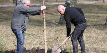 Тернопіль висадив тисячі нових дерев та кущів