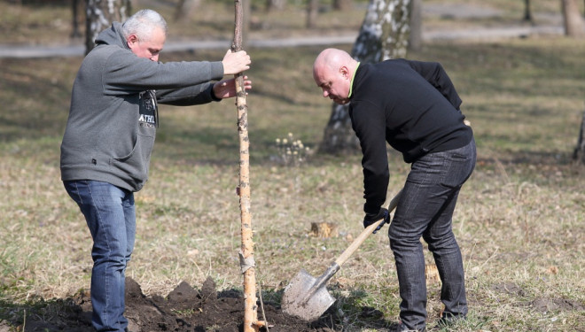 Тернопіль висадив тисячі нових дерев та кущів