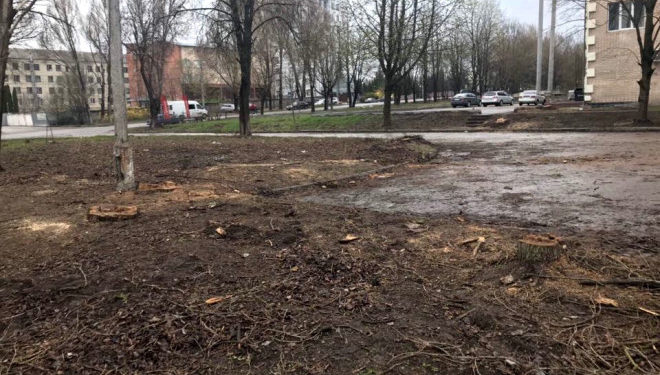 У Тернополі варвари нестимуть відповідальність за зрізані дерева