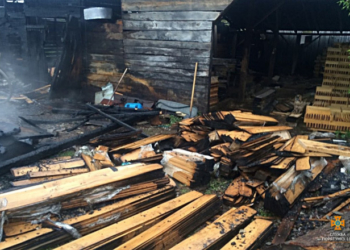 На Тернопільщині загорівся деревооборбний цех (фотофакт)