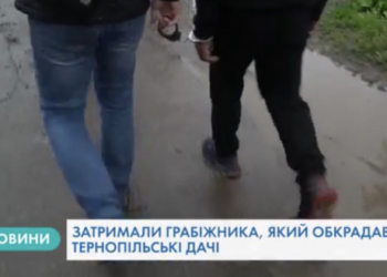 «Дачного» крадія затримали на Тернопільщині