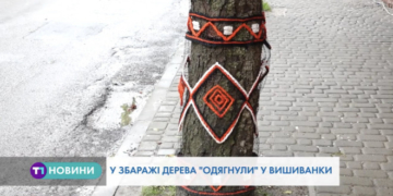 На Тернопільщині до Дня вишиванки підготувалися в особливий спосіб