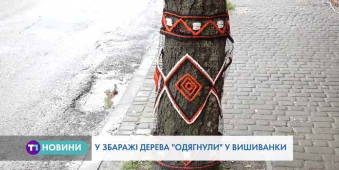 На Тернопільщині до Дня вишиванки підготувалися в особливий спосіб