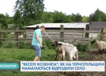 Тернополянин поділився секретами: “як побудувати бізнес на козах”?
