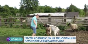 Тернополянин поділився секретами: “як побудувати бізнес на козах”?