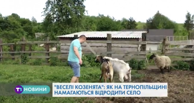 Тернополянин поділився секретами: “як побудувати бізнес на козах”?
