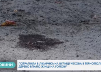 Дерево в Тернополі впало на жінку (Відео)