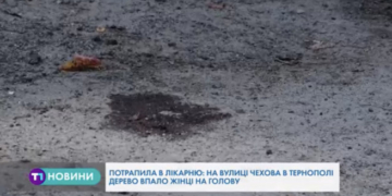 Дерево в Тернополі впало на жінку (Відео)