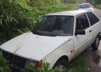 У лісопосадці на Тернопільщині знайшли крадене авто