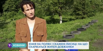 На Тернопільщині люди скаржаться на лисиць і хімікати