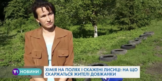 На Тернопільщині люди скаржаться на лисиць і хімікати