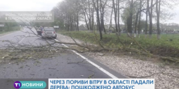 На Тернопільщині лютує негода (Відео)