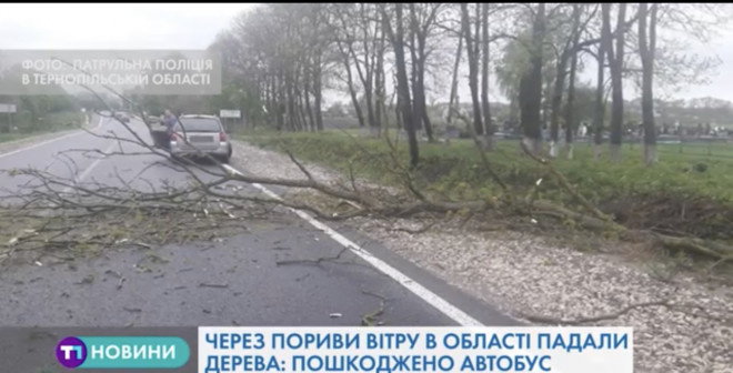 На Тернопільщині лютує негода (Відео)