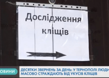 Кліщі атакують тернополян (Відео)