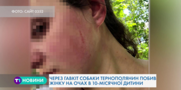 В Тернополі невідомий чоловік напав на матір з немовлям (Відео)