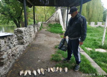 Чому муніципальна інспекція Тернополя проводила нічні рейди?