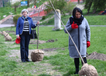 Цієї весни у Тернополі висаджено понад 4000 дерев та кущів