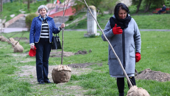 Цієї весни у Тернополі висаджено понад 4000 дерев та кущів