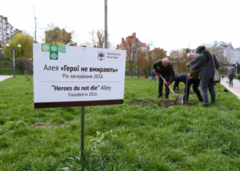 У Тернополі ростимуть неймовірної краси дерева