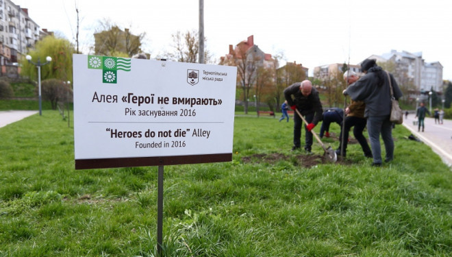 У Тернополі ростимуть неймовірної краси дерева