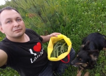 Священик з Тернопільщини розповів як збирає ліки з “Божої аптеки”