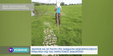 Масштабний рейд провели на Тернопільщині (Відео)