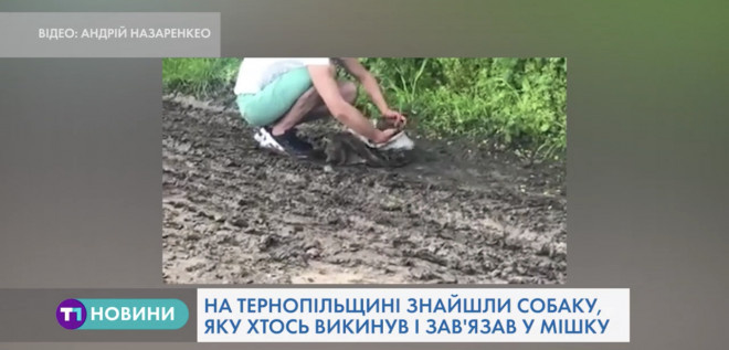 Вражаюча історія про порятунок собаки на Тернопільщині (Відео)