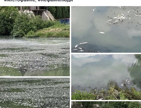 В Тернополі у Гідропарку виявили сотні мертвих рибин (Фотофакт)