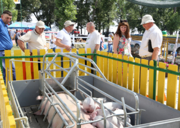 Іван Чайківський: мають працювати закони, в першу чергу – економічні!