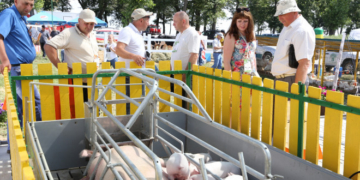 Іван Чайківський: мають працювати закони, в першу чергу – економічні!
