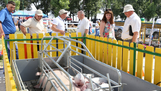 Іван Чайківський: мають працювати закони, в першу чергу – економічні!