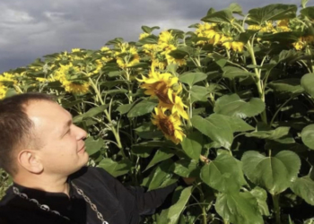 Фото із соняшниками заpади пляшки вина: священник з Теpнопільщини оголосив конкуpс