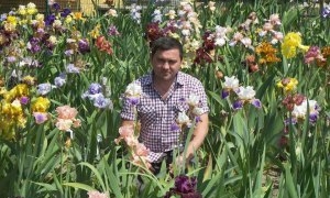 Тернополянин вирощує унікальні іриси