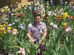 Тернополянин вирощує унікальні іриси