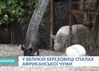 Міський голова Тернополя розповів про ремонти та безкоштовний проїзд