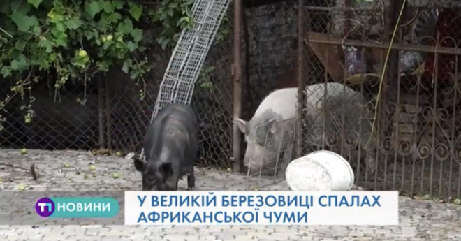 Міський голова Тернополя розповів про ремонти та безкоштовний проїзд