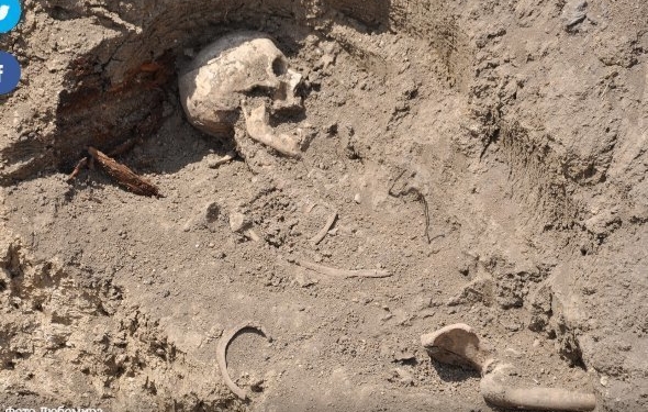 В частині кісток, знайдених в Чорткові, виявили рештки кульових поранень