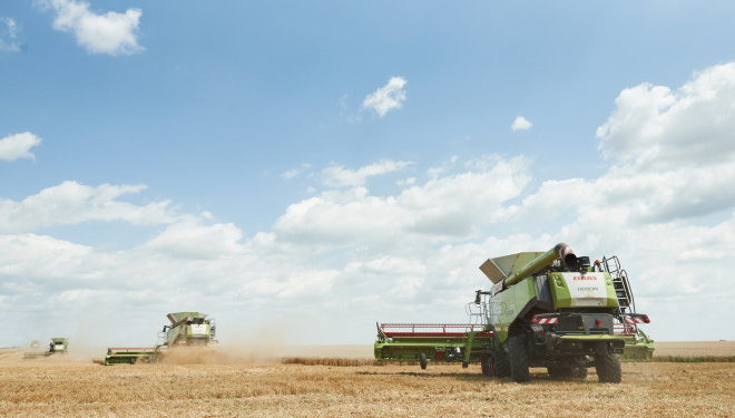 26 нових комбайнів CLAAS збирають врожай на полях «Контіненталу»